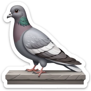 Pigeon sticker