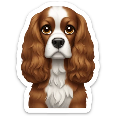 King Charles dog breed with brown hair sticker