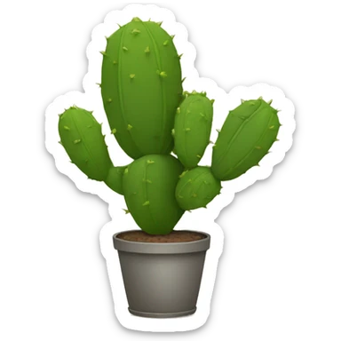 single flat Nopal without pot sticker