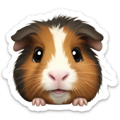 Guinea pig  sticker