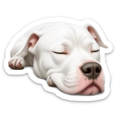 White pitbull sleeping  sticker