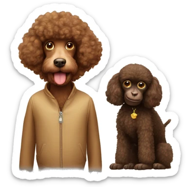Brown poodle with a monkey sticker