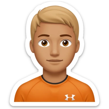 Hurley sport sticker