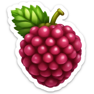Raspberry  sticker