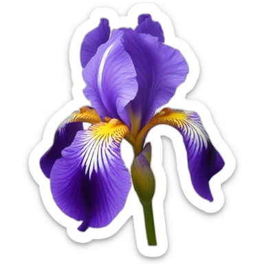 Iris flower sticker