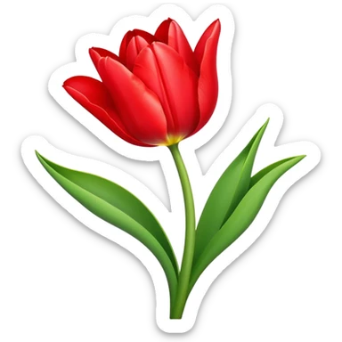 Beautiful tulip flower with vibrant petals and green stem sticker