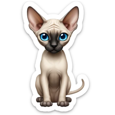Siamese Sphynx  cat with blue eyes, full body, black nose ears and tail sticker