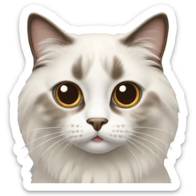 Ragdoll cat with brown over eyes and white nose sticker