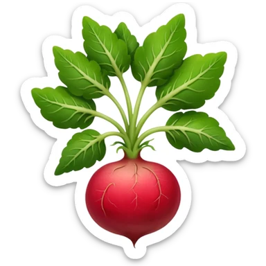 radish plant sticker