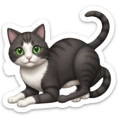beautiful female solid dark grey cat with green eyes, white toes/paws and white patch on her chest playfully rolling upside down sticker