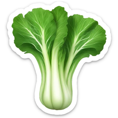 pak choi cabbage sticker