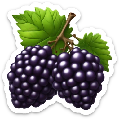 blackberry sticker