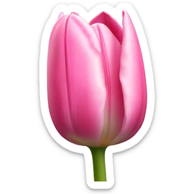 Pink tulip sticker