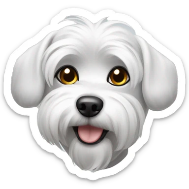 dog Maltese with a bit of grey in the ears  sticker