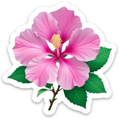 Cinematic Realistic image of a Mugunghwa flower (Rose of Sharon), rendered with delicate petal textures and vibrant pink hues, set against a minimalist background with gentle, diffused lighting that highlights its national significance sticker