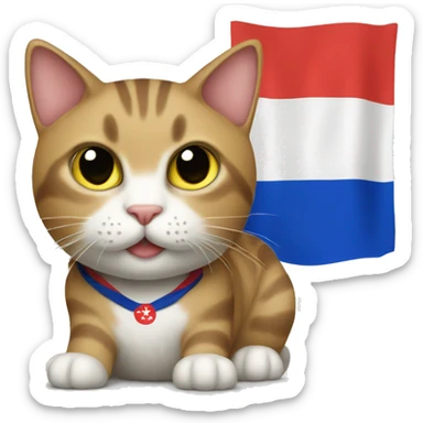 Cat wearing Taiwan’s flag tshirt sticker