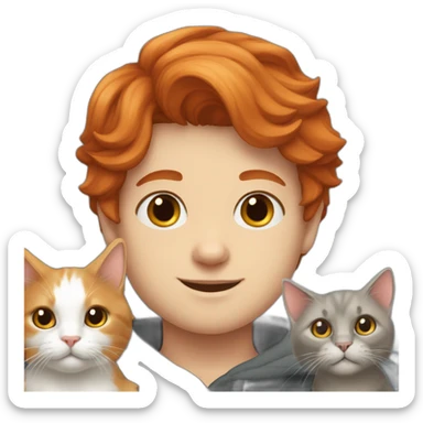 Redhead boy with grey a Scottish lop-eared cat. sticker
