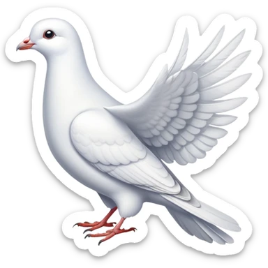 white dove pigeon sticker