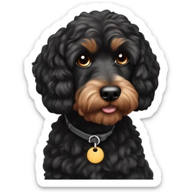Black and Tan cockapoo sticker