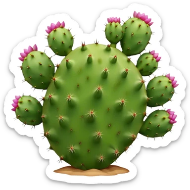 Prickly pear cactus, isolated  sticker
