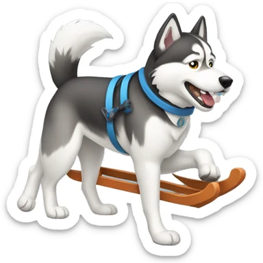 Husky pulling a sled  sticker
