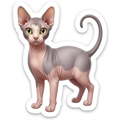 hairless cat sticker