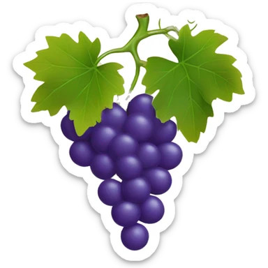 Grapes on vine sticker