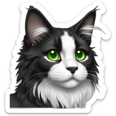 Black and white Maine coon with green eyes full body sticker