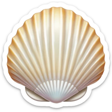 White seashell sticker