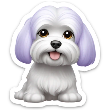 Lavender colored Maltese  sticker