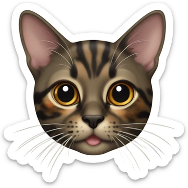 oriental tortoiseshell colored cat sticker