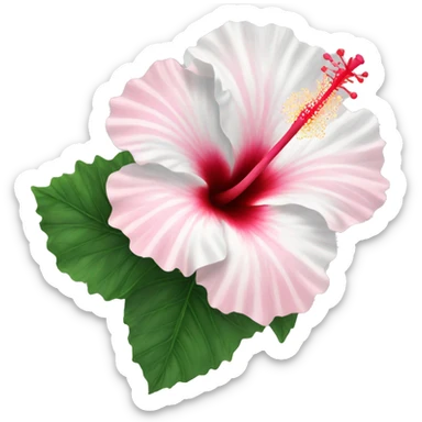 hibiscus flower pink and white sticker