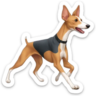 Podenco haciendo deporte sticker