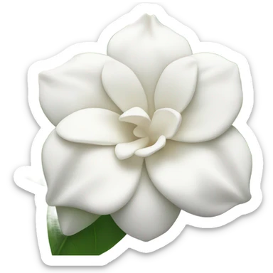 Gardenia sticker