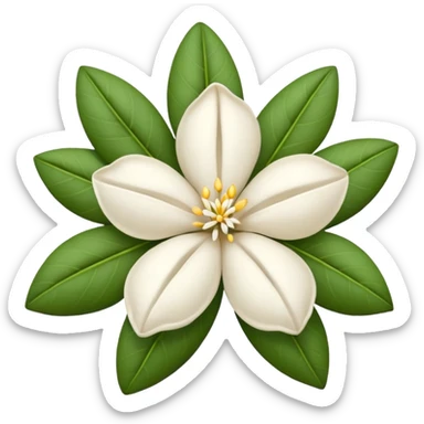 dry indian jasmine without leaf in emoji format sticker