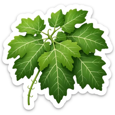 grape leaf with simple and clear lines sticker