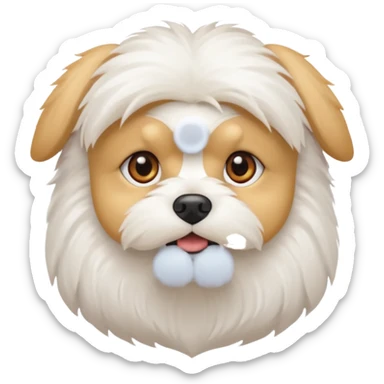 Bichon maltes sticker