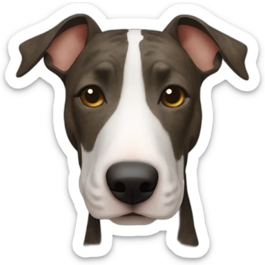 Older Brindle bullterrier front view face uneven face spots roman nose sticker