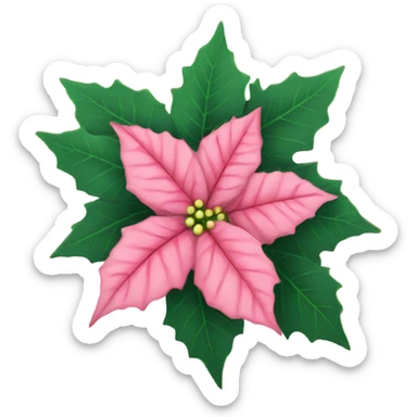Pink poinsettia  sticker