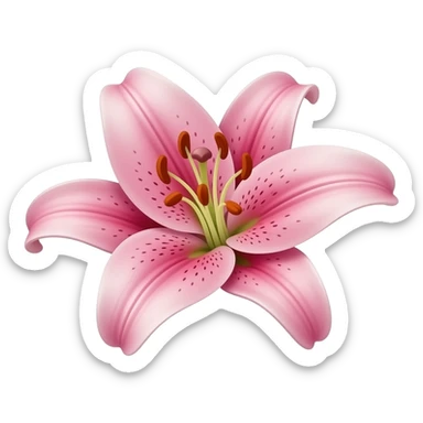 Pink lily sticker