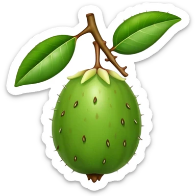 Feijoa sticker