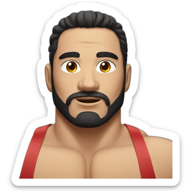 A man wrestler with dark hair sticker