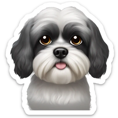 Shih tzu poddle mix dog with black ears and black spot over one eye sticker