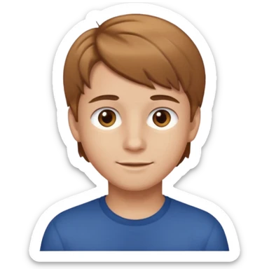 A boy with light brown hair and brown eyes and white skin sticker