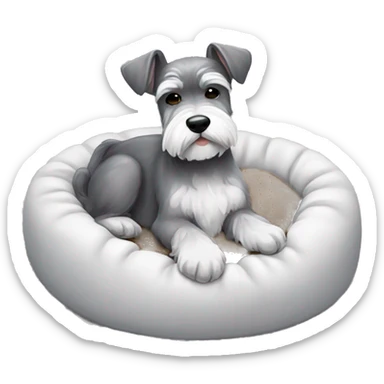 Grey and white mini schnauzer full body asleep in dog bed      sticker
