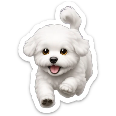 A bichon that comes running in front  sticker