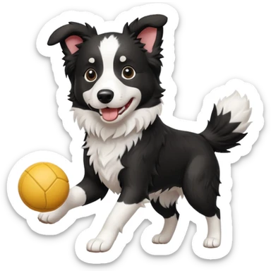 border collie playing with a toy sticker