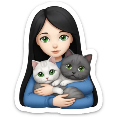 Black long hair, white skin, black eyes, pretty girl is hugging a gray Scottish fold green-eyed cat white blue-eyed cat

 sticker