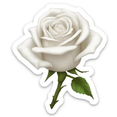 White wilted rose sticker