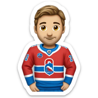 chandail des Nordiques de québec sticker